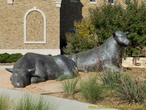 Lubbock / Bulls