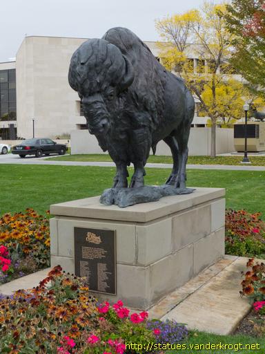 Cheyenne /  Buffalo