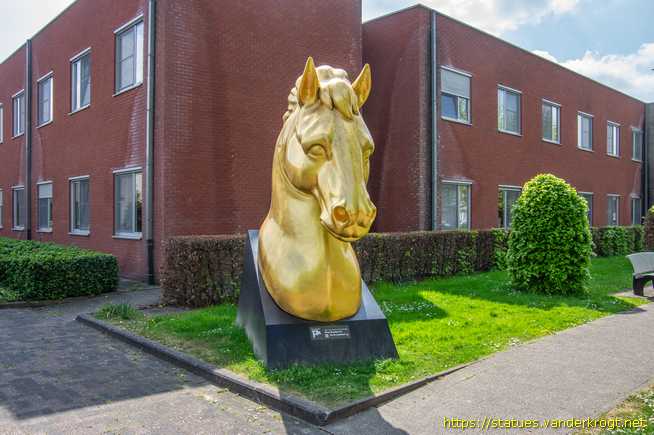 Dendermonde - Paardenkracht in Dendermonde