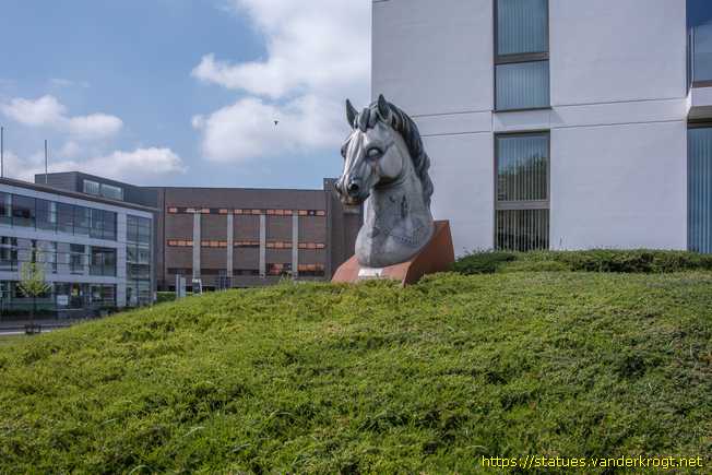 Dendermonde - Paardenkracht in Dendermonde