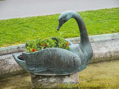 Morges - Cygnes