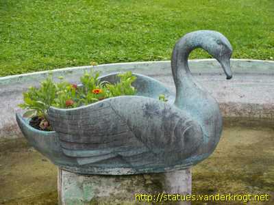 Morges - Cygnes