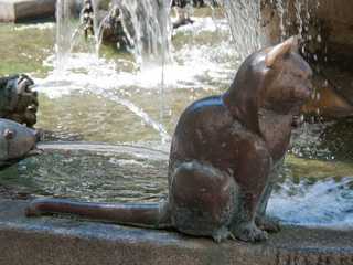Cat - Forellenbrunnen (Geislingen)