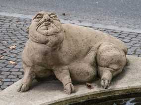 Konstanz - Laubebrunnen oder Konstanzer Triumphbogen