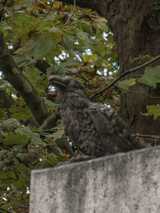 Konstanz - Laubebrunnen oder Konstanzer Triumphbogen
