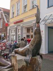 Aurich - Seehundzirkus