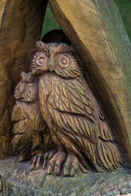 Grimmen - Vögel auf einem Baum