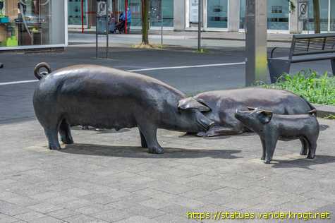 Herten - Schweineherde