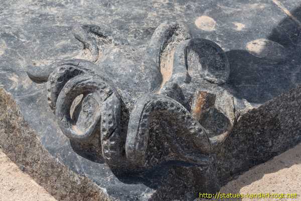 Puerto de la Cruz - Pulpeador