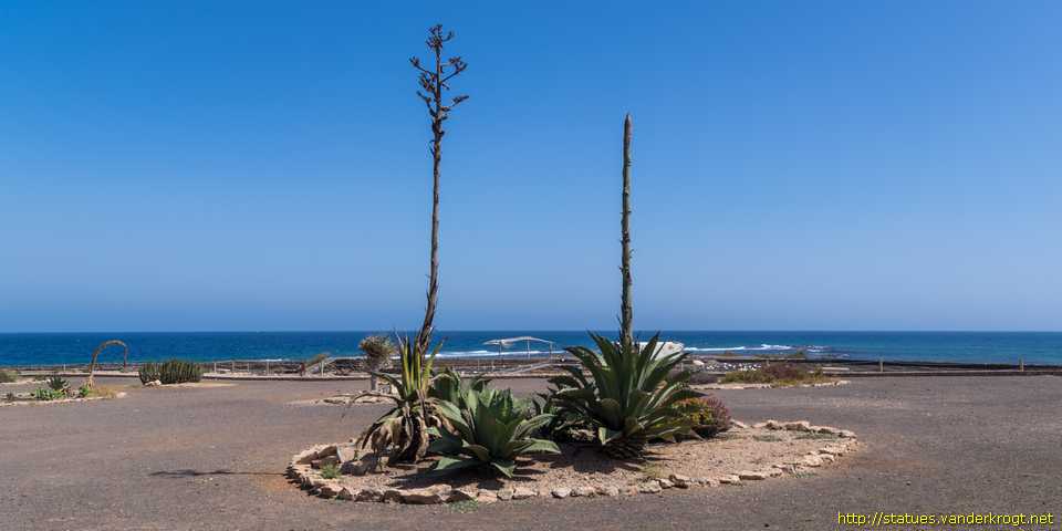 Salinas del Carmen - Esqueleto de un rorcual común