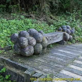 Llangefni / Dragonfly, Seed Pods etc. - Gwas y Neidr, Hadau Planhigion ac eraill