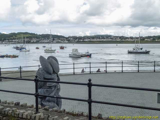 Conwy / Mytilus Edulis (Mussel)