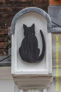 York - York Cat Trail