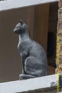 York - York Cat Trail