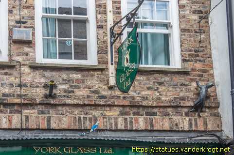 York - York Cat Trail