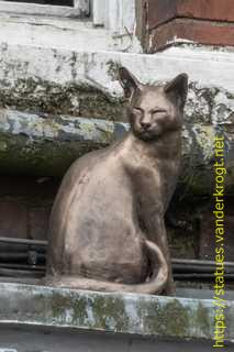 York - York Cat Trail