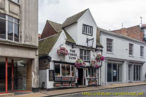 York - York Cat Trail