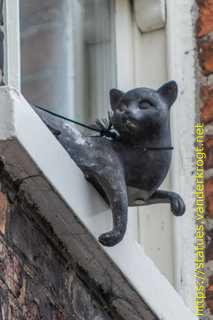 York - York Cat Trail
