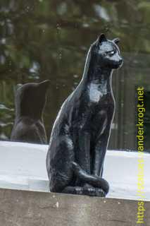 York - York Cat Trail