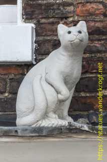 York - York Cat Trail