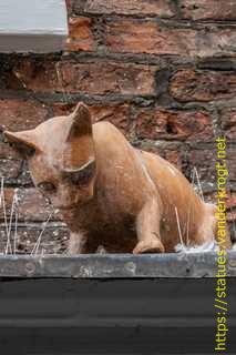 York - York Cat Trail