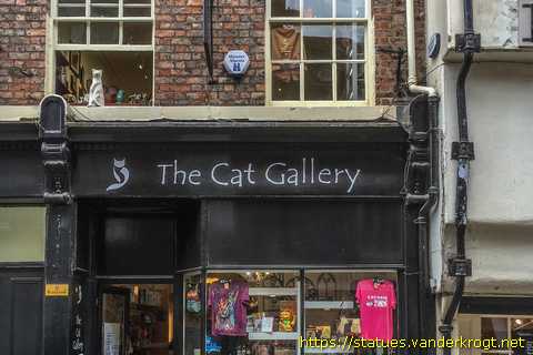 York - York Cat Trail