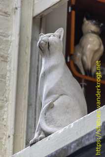 York - York Cat Trail