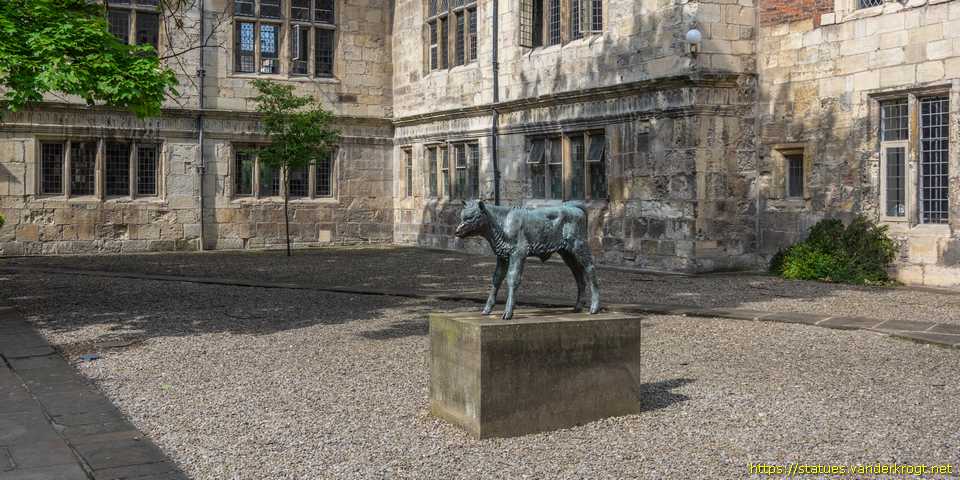 York - Friesian Calf