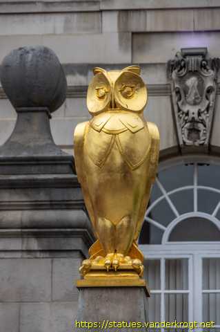 Leeds - Golden Owls