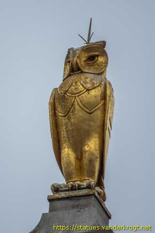 Leeds - Golden Owls
