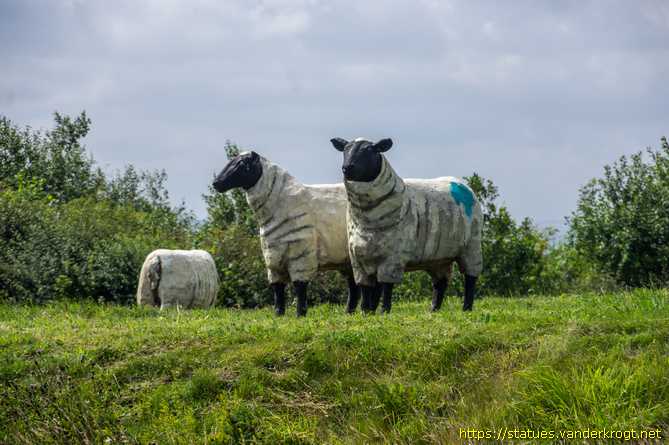 Reighton - The Dotterel Shepherd
