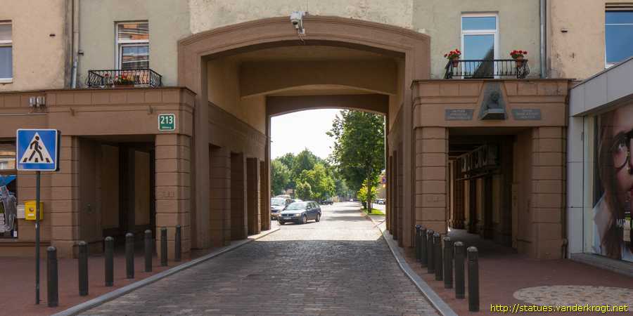 Šiauliai - Potencija Pinkauskaitė