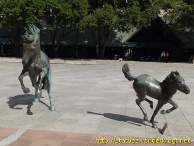 Irving - The Mustangs of Las Collinas